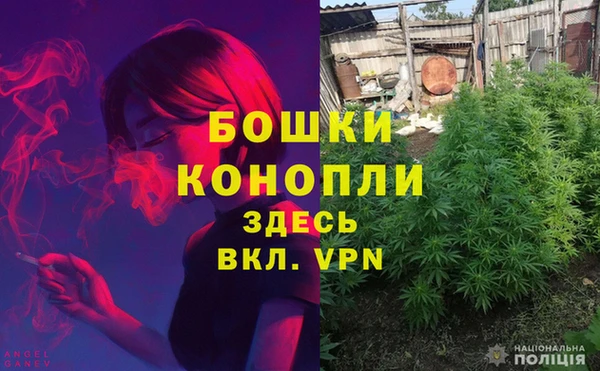 дурь Бородино