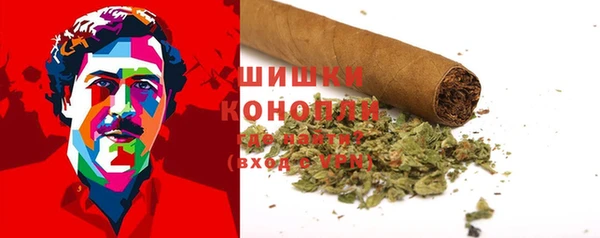 spice Бронницы