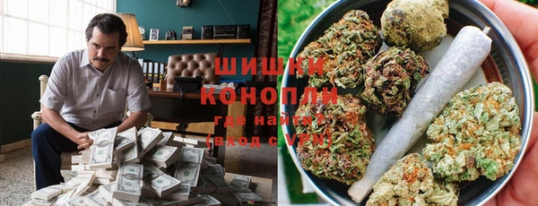 дурь Бородино