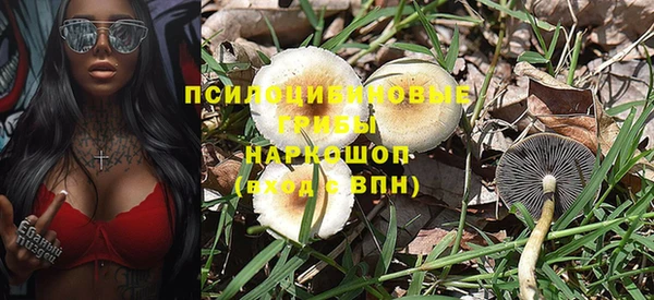 spice Бронницы