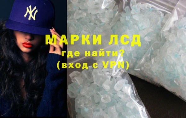 дурь Бородино