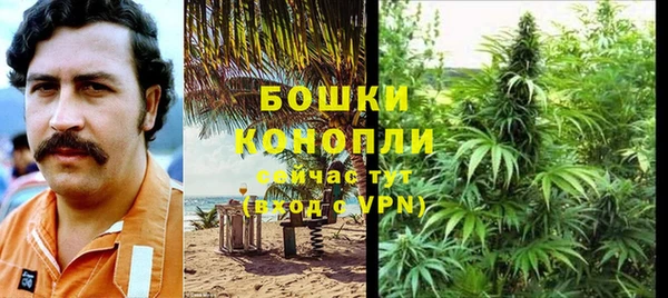 прущие крисы Дегтярск