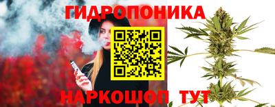 кокс Канаш