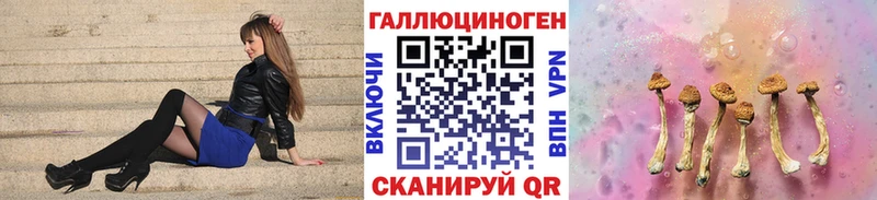 где можно купить   дарк нет наркотические препараты  Псилоцибиновые грибы мицелий  Кузнецк 