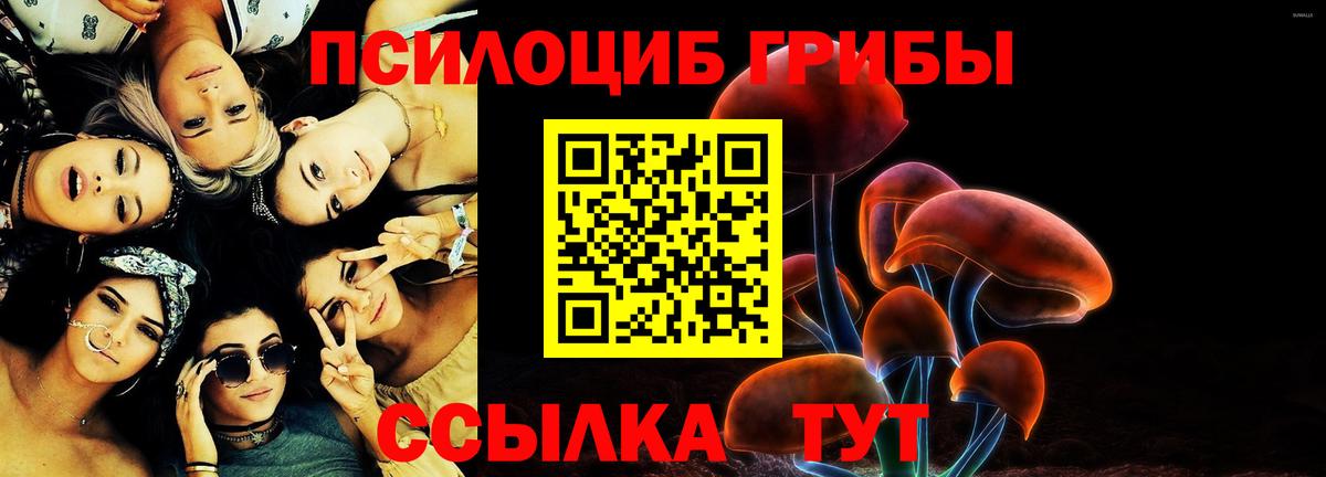 Галлюциногенные грибы Psilocybine cubensis Кузнецк